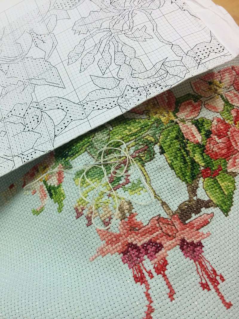 fuchsia cross stitch in progress