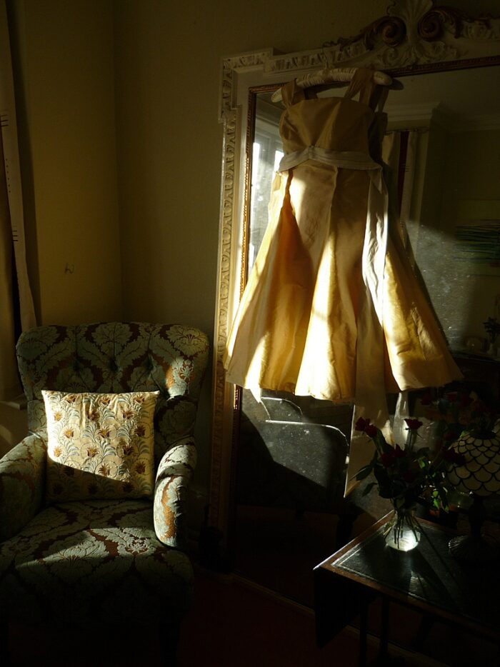 gold silk dupion dress on mirror