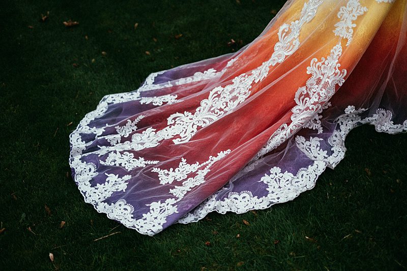 phoenix colours ombre train